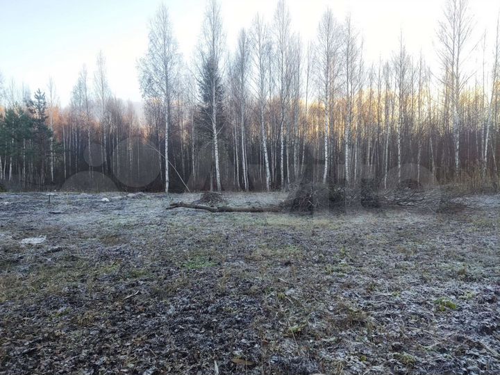 Участок 8,5 сот. (СНТ, ДНП)