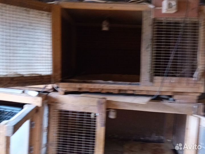 Клетка для кролика