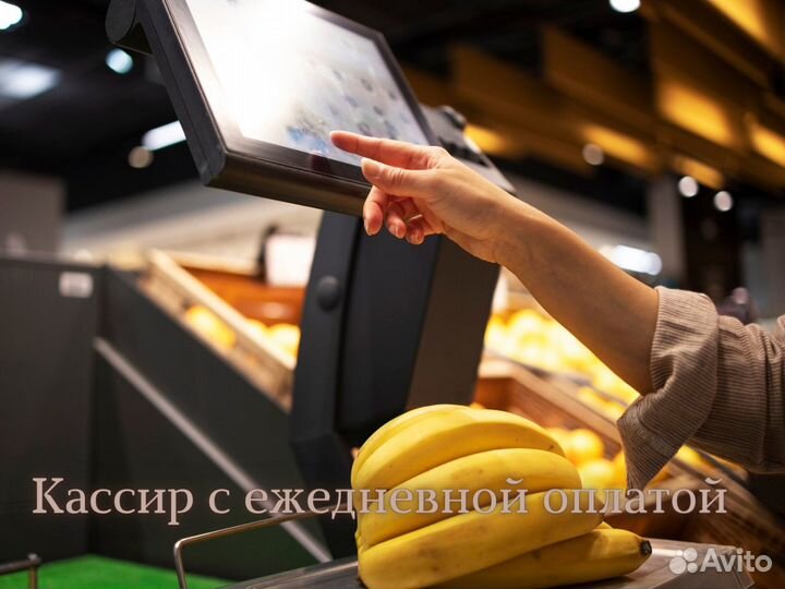 Кассир с ежедневной оплатой