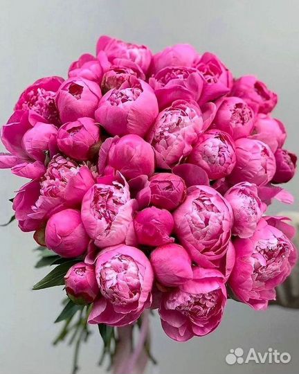 Пионы Букеты Цветы Доставка