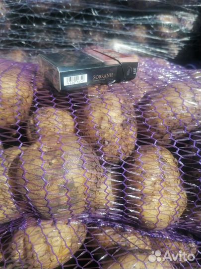 Продам картофель