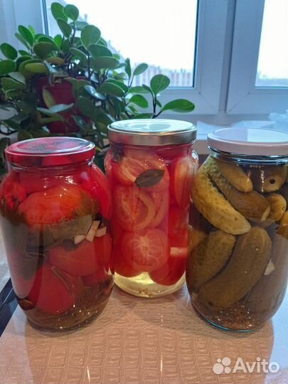 Соленья домашние