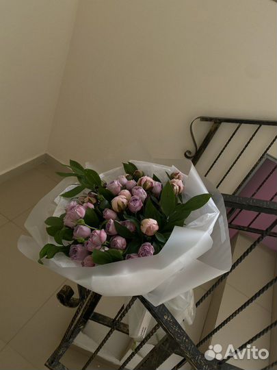 Цветы оптом пионы Астрахань