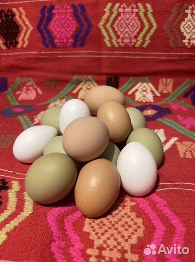 Домашние куриные яйца