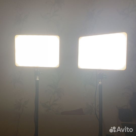 Набор студийного света 2 шт со штативами