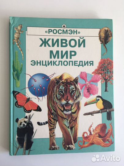 Книги для детей