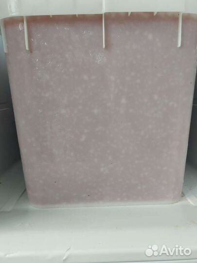 Красная икра Горбуши 2023г