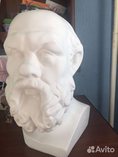 Бюст