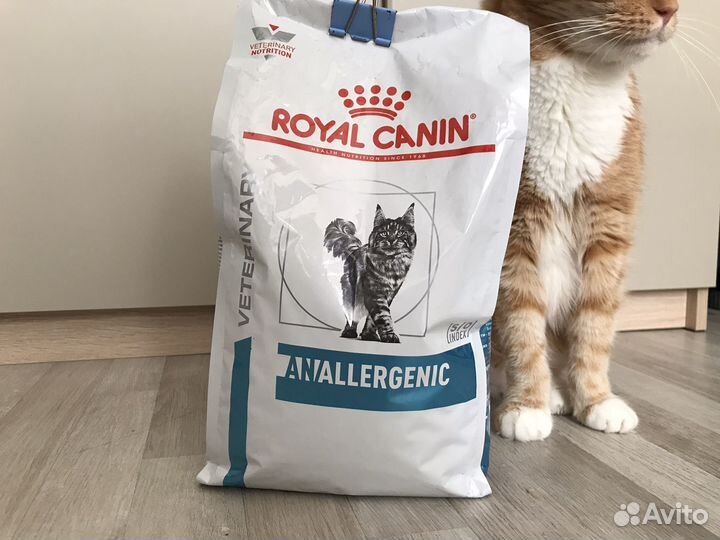 Корм для кошек роял канин