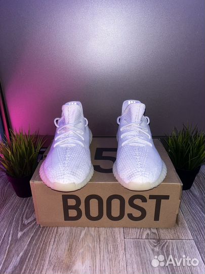 Adidas yeezy boost 350 v2