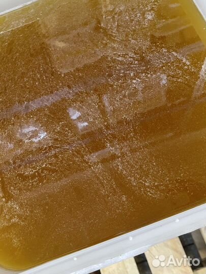 Мед оптом / цветочный