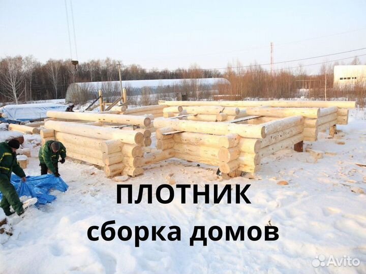 Плотник сборка домов