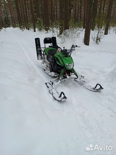 Динго 150, 2018 г. в