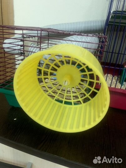 Колесо для грызунов