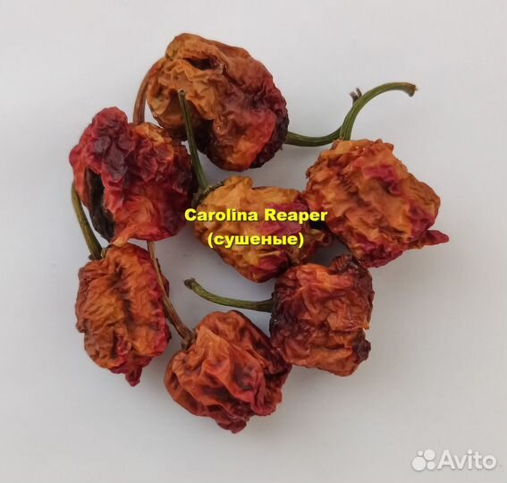 Перец сверхострый Carolina Reaper 10 семян