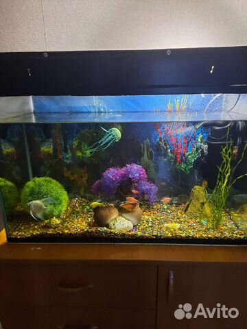 Аквариум