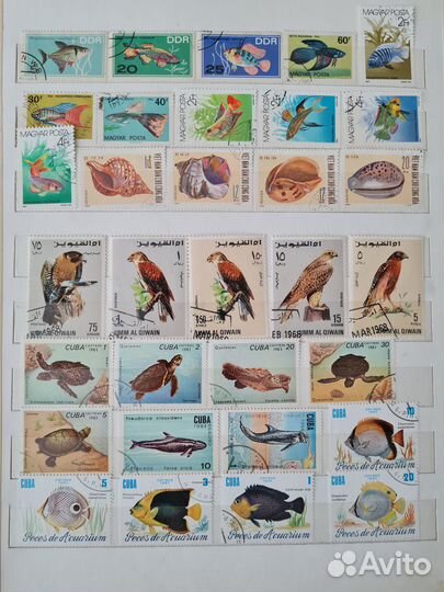 Почтовые марки 