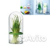 Винтовые банки кулинарн. термометр емкость зелени