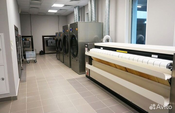 Гладильщица