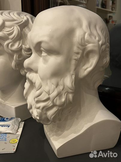 Гипсовая голова Сократа
