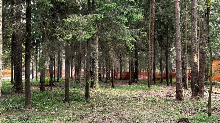 Участок 9,1 сот. (ИЖС)