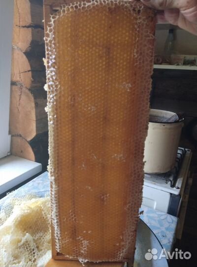 Свежий мед 2023 года с доставкой