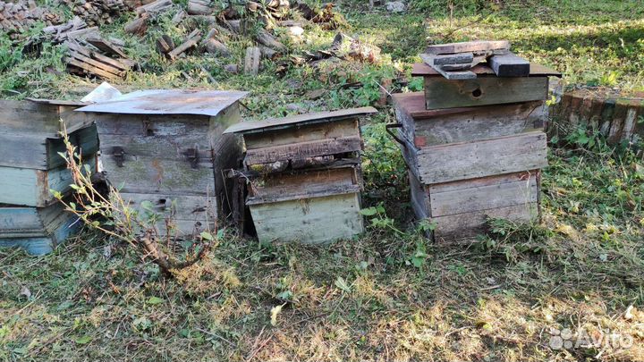 Пчелиный инвентарь