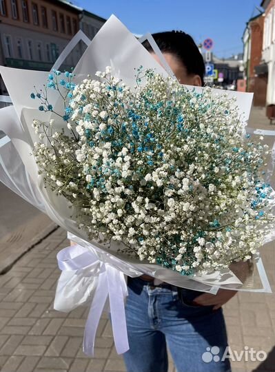 Цветная гипсофила