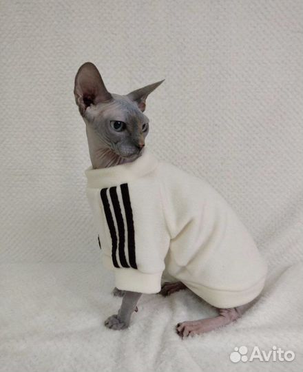 Одежда для кошек, собак