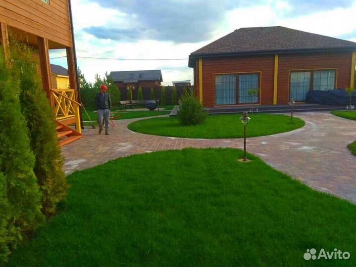 Рулонный газон эконом