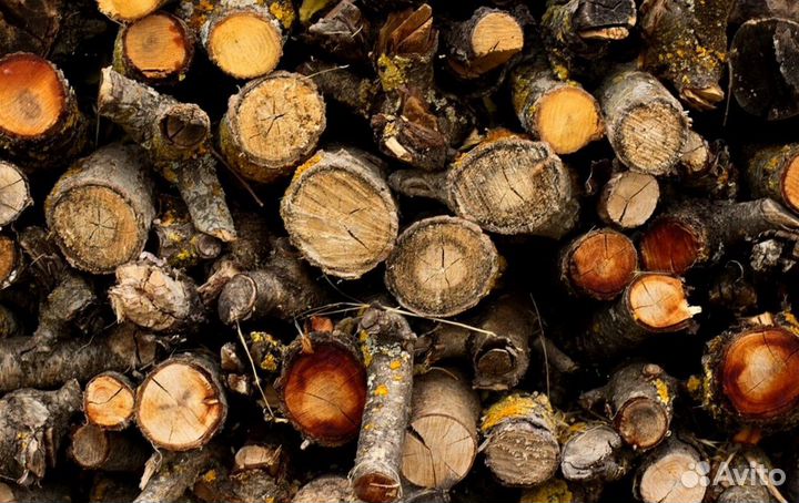 Дрова с Приморска