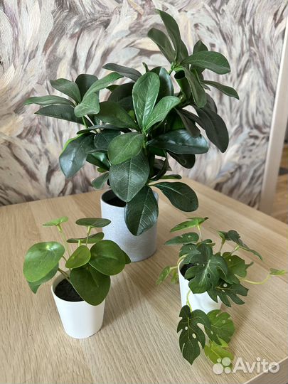 Искусственные растения фейка Икеа и син