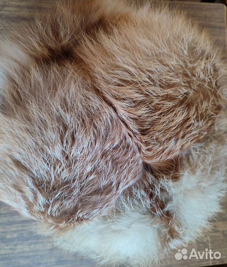 Мужская лисья шапка