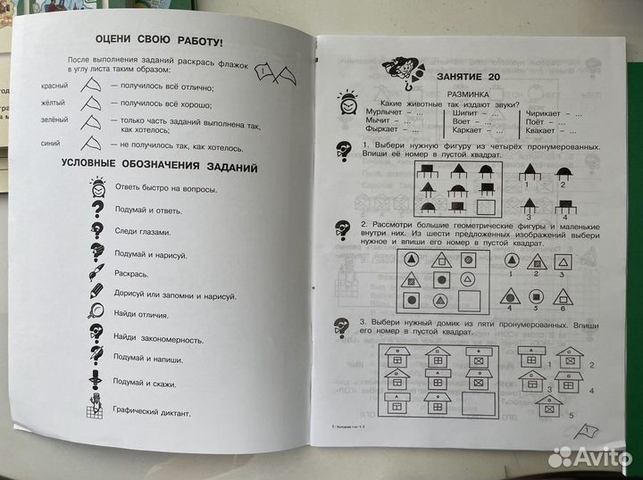 Рабочая тетрадь. Холодова О.А