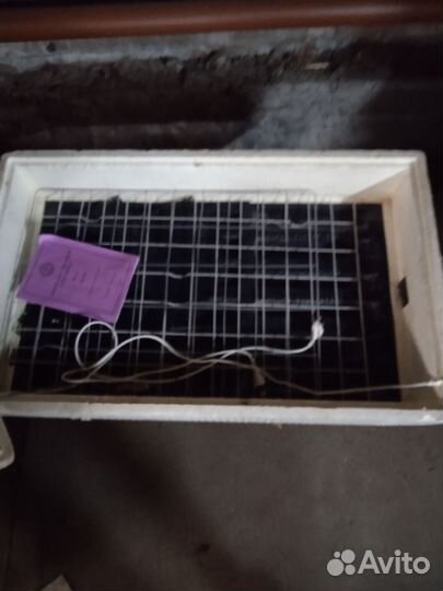 Инкубатор для яиц автоматический Золушка