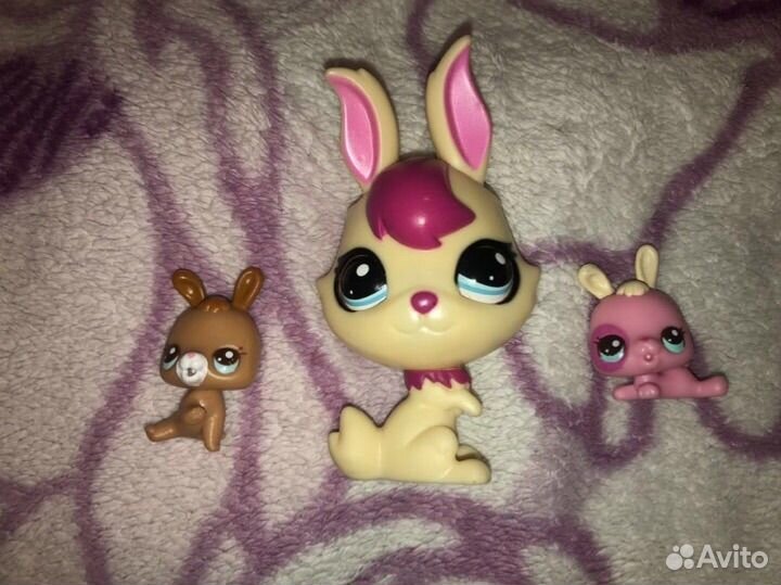 Littlest Pet Shop