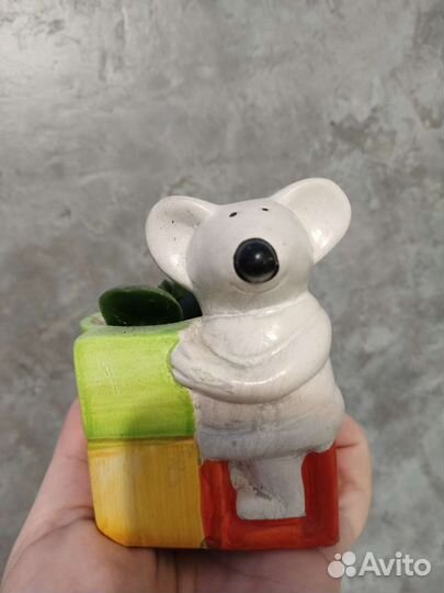 Толстянка и хавортия ритуза в кашпо