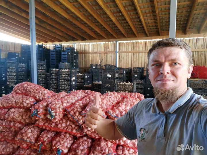 Чеснок с доставкой