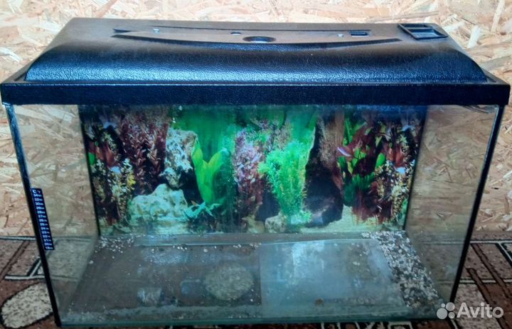 Аквариум для рыбок + камни для него