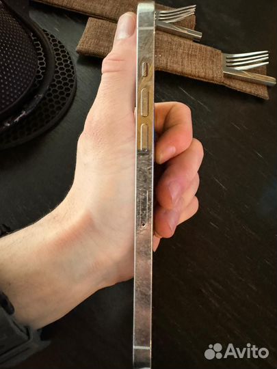 iPhone 12 Pro Max, 256 ГБ