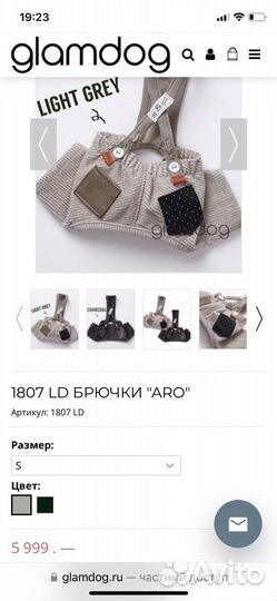 Одежда для йорка