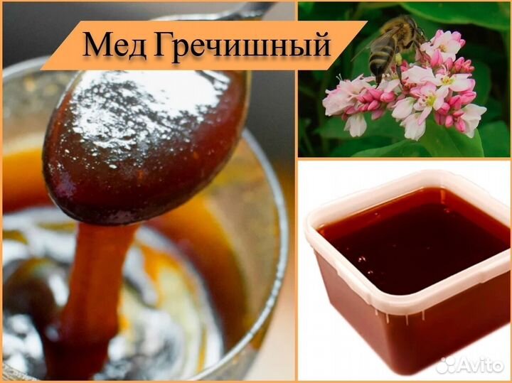 Натуральный мед (липовый, разнотравье). Алтай