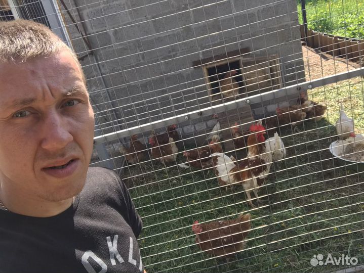 Мастер на час.Помощник по дому и хозяйству