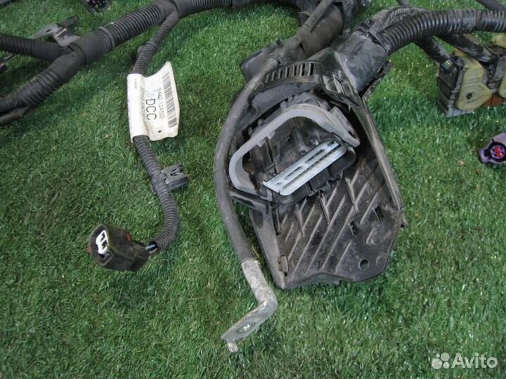 Жгут проводки двигателя Ford Fiesta (CB1) 2011