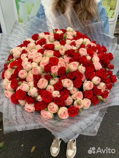 101 Роза кустовая 50 см