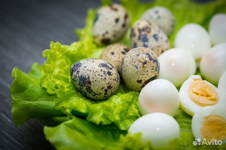 Яйца перепелиные домашние