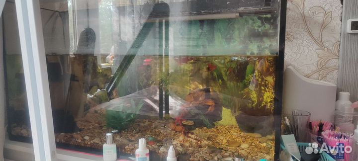 Аквариум