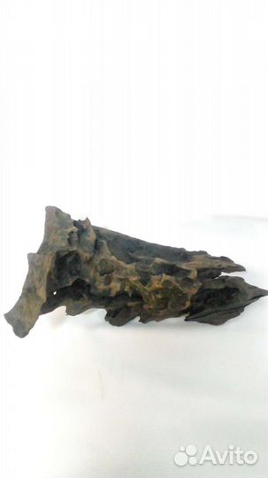 Скола (каряга)