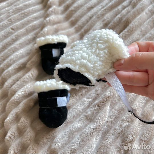 Ботинки для маленькой собаки