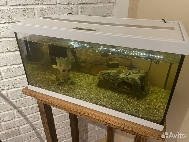 Аквариум eheim